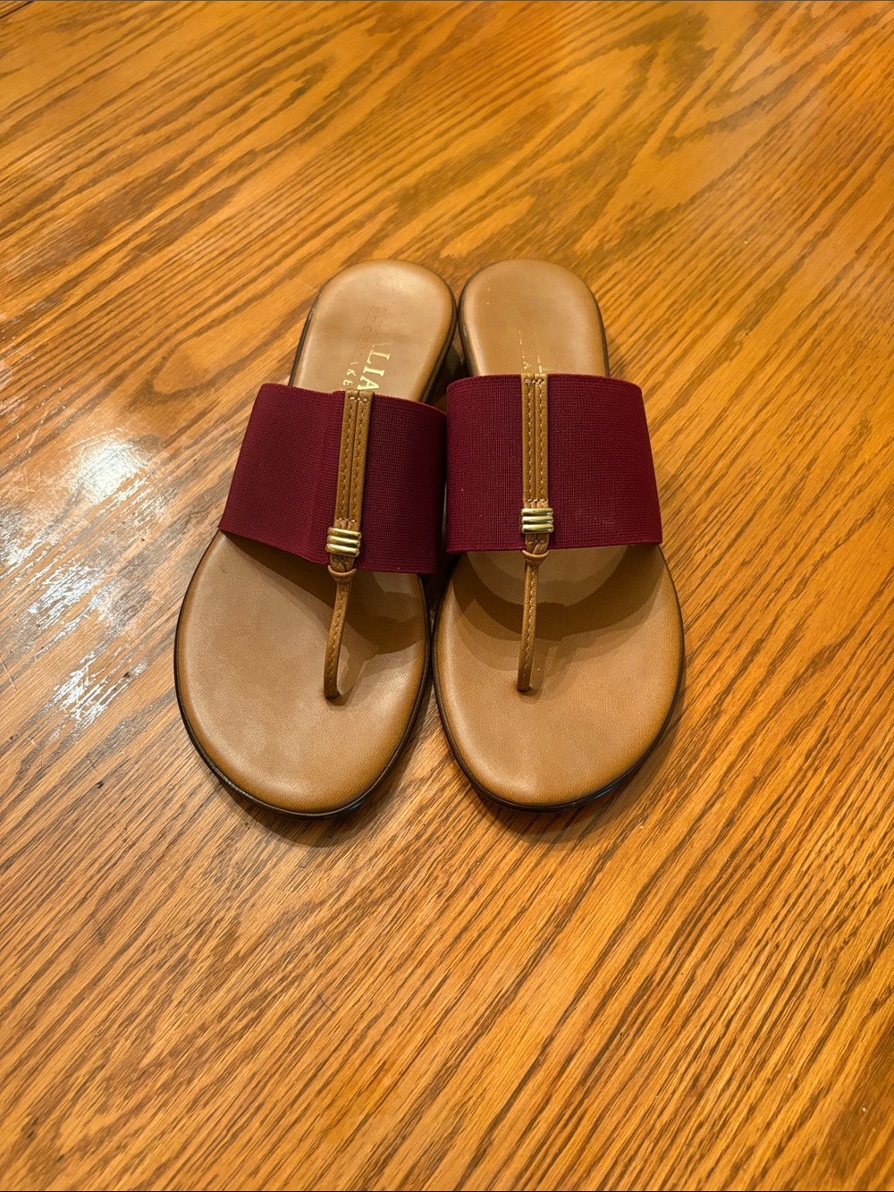 Italian Shoemakers Burgundy Wide-Band Thong Sandals with Tan Footbed